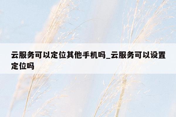 云服务可以定位其他手机吗_云服务可以设置定位吗