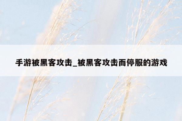 手游被黑客攻击_被黑客攻击而停服的游戏
