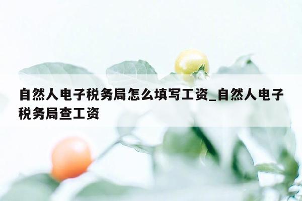 自然人电子税务局怎么填写工资_自然人电子税务局查工资