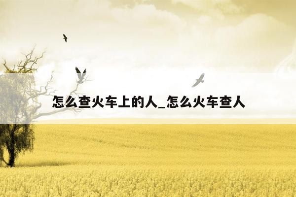 怎么查火车上的人_怎么火车查人