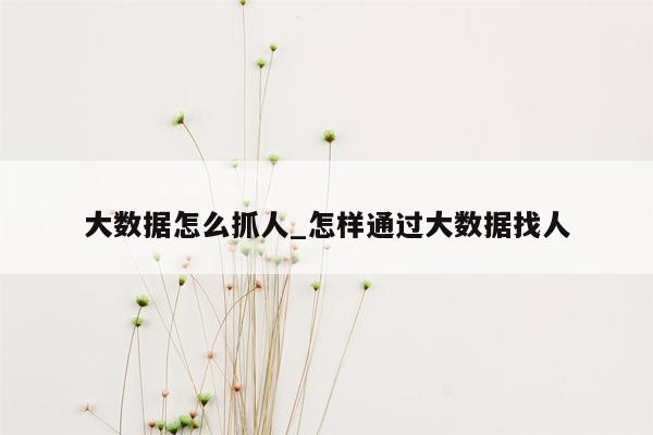 大数据怎么抓人_怎样通过大数据找人