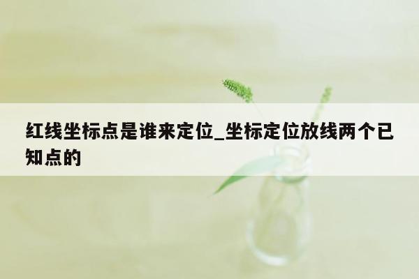 红线坐标点是谁来定位_坐标定位放线两个已知点的