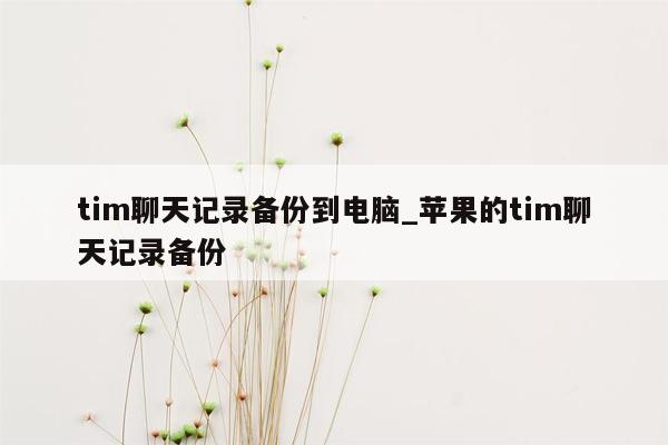 tim聊天记录备份到电脑_苹果的tim聊天记录备份