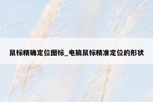鼠标精确定位图标_电脑鼠标精准定位的形状