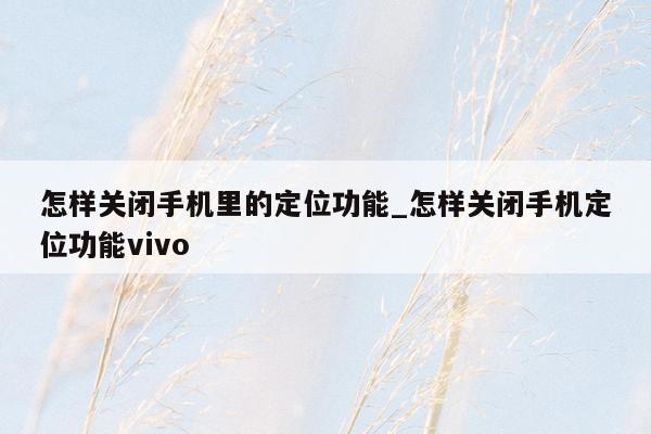 怎样关闭手机里的定位功能_怎样关闭手机定位功能vivo