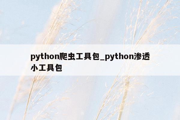 python爬虫工具包_python渗透小工具包