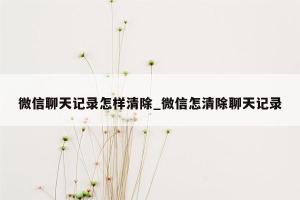 微信聊天记录怎样清除_微信怎清除聊天记录