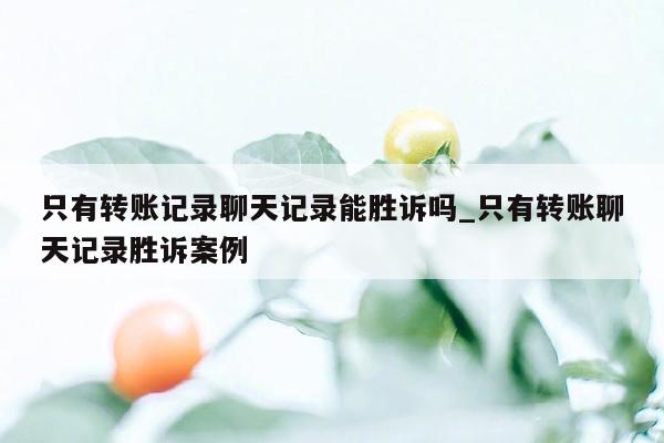 只有转账记录聊天记录能胜诉吗_只有转账聊天记录胜诉案例