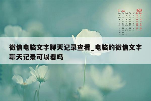 微信电脑文字聊天记录查看_电脑的微信文字聊天记录可以看吗