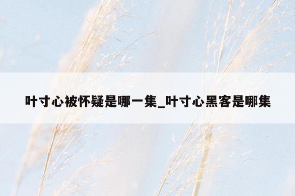 叶寸心被怀疑是哪一集_叶寸心黑客是哪集
