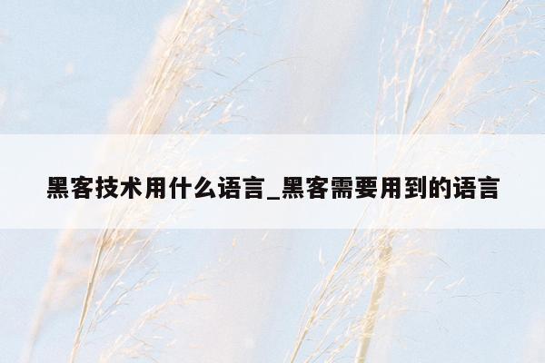 黑客技术用什么语言_黑客需要用到的语言