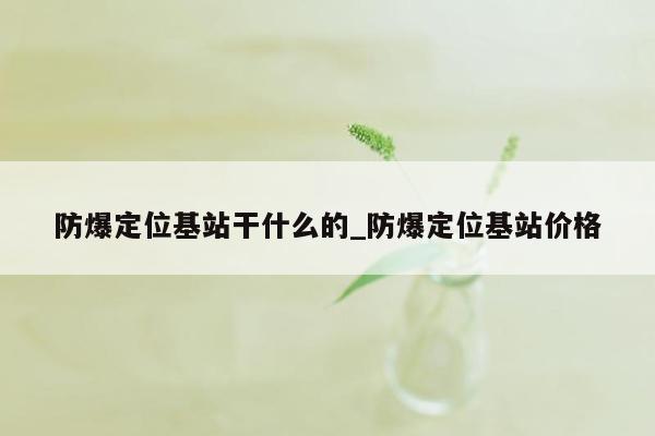 防爆定位基站干什么的_防爆定位基站价格