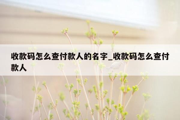 收款码怎么查付款人的名字_收款码怎么查付款人