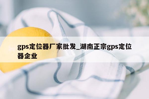 gps定位器厂家批发_湖南正宗gps定位器企业