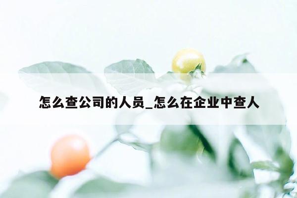 怎么查公司的人员_怎么在企业中查人