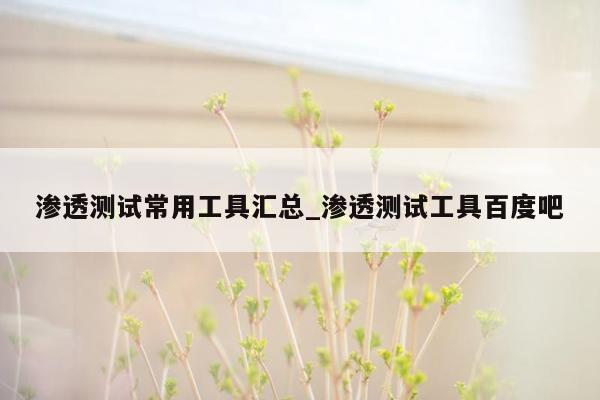 渗透测试常用工具汇总_渗透测试工具百度吧