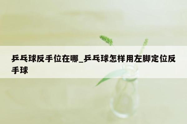 乒乓球反手位在哪_乒乓球怎样用左脚定位反手球
