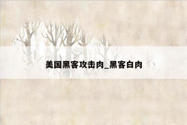 美国黑客攻击肉_黑客白肉