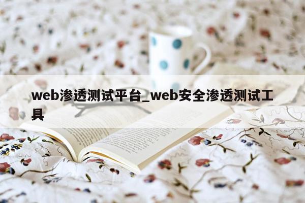 web渗透测试平台_web安全渗透测试工具