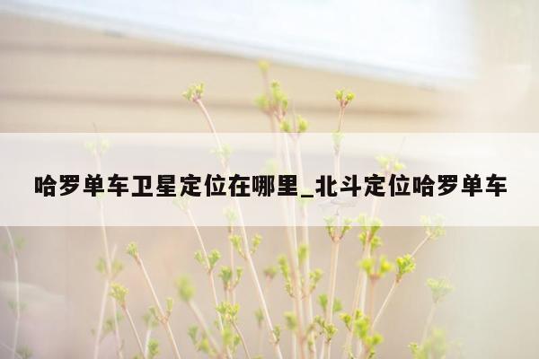 哈罗单车卫星定位在哪里_北斗定位哈罗单车