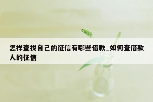 怎样查找自己的征信有哪些借款_如何查借款人的征信