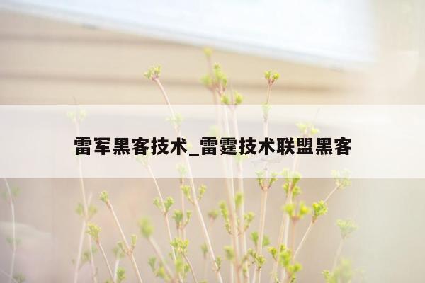 雷军黑客技术_雷霆技术联盟黑客