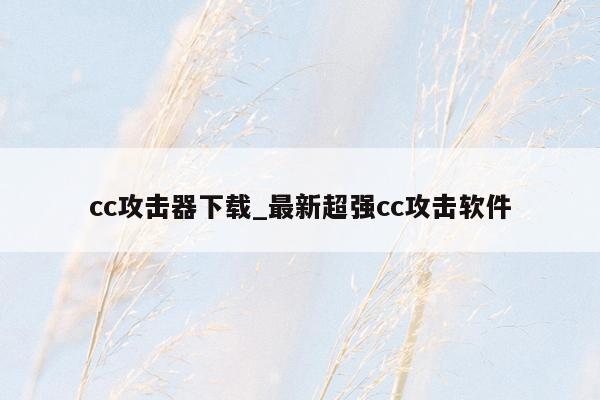 cc攻击器下载_最新超强cc攻击软件