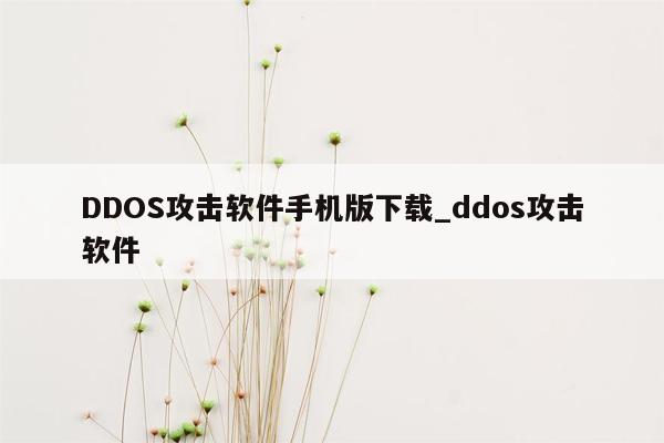 DDOS攻击软件手机版下载_ddos攻击软件
