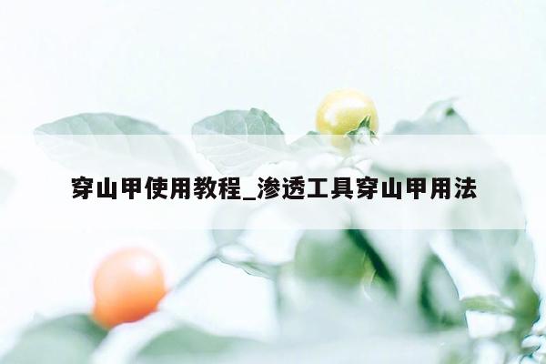 穿山甲使用教程_渗透工具穿山甲用法