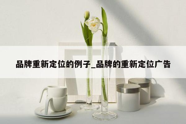 品牌重新定位的例子_品牌的重新定位广告