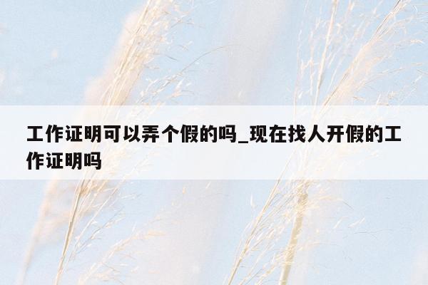 工作证明可以弄个假的吗_现在找人开假的工作证明吗