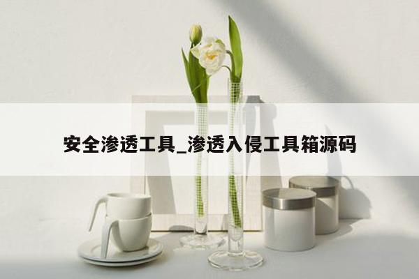 安全渗透工具_渗透入侵工具箱源码
