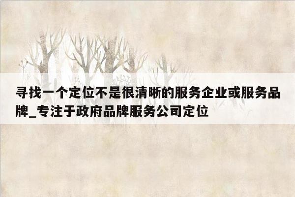 寻找一个定位不是很清晰的服务企业或服务品牌_专注于政府品牌服务公司定位