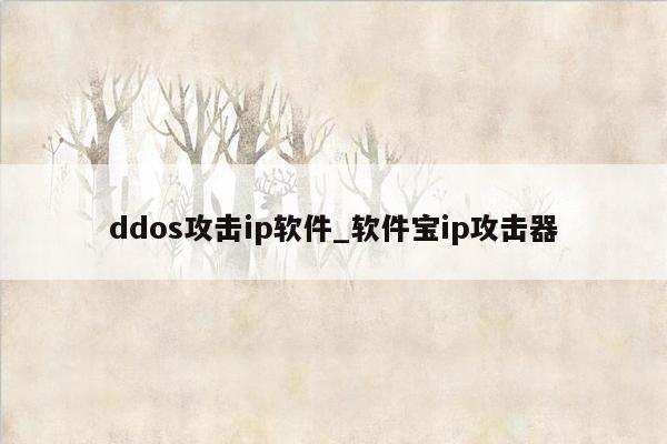 ddos攻击ip软件_软件宝ip攻击器