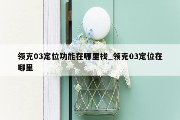 领克03定位功能在哪里找_领克03定位在哪里