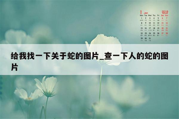 给我找一下关于蛇的图片_查一下人的蛇的图片