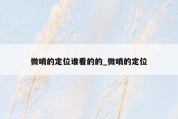 微哨的定位谁看的的_微哨的定位
