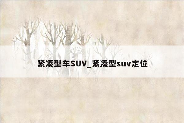 紧凑型车SUV_紧凑型suv定位
