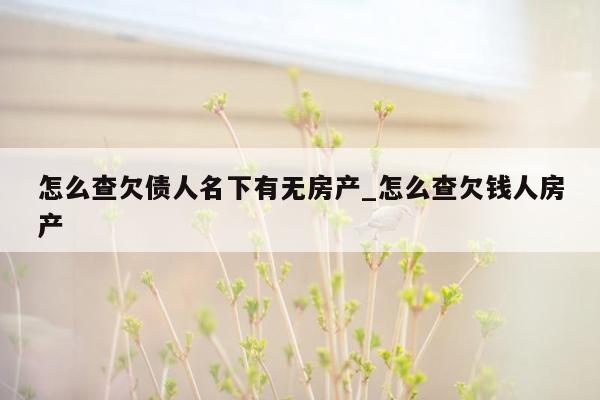 怎么查欠债人名下有无房产_怎么查欠钱人房产