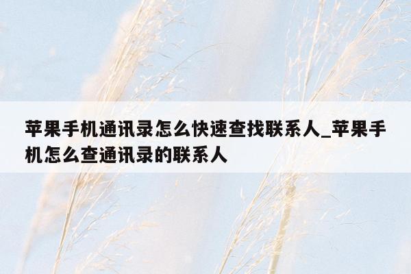 苹果手机通讯录怎么快速查找联系人_苹果手机怎么查通讯录的联系人