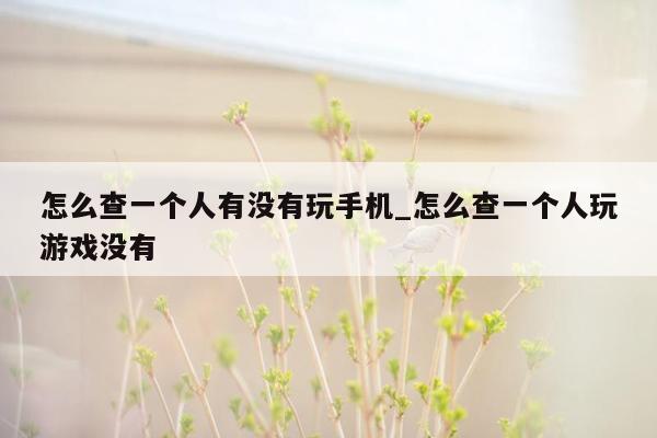 怎么查一个人有没有玩手机_怎么查一个人玩游戏没有