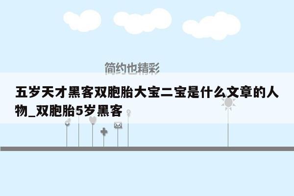 五岁天才黑客双胞胎大宝二宝是什么文章的人物_双胞胎5岁黑客
