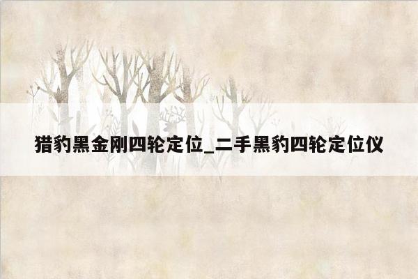 猎豹黑金刚四轮定位_二手黑豹四轮定位仪
