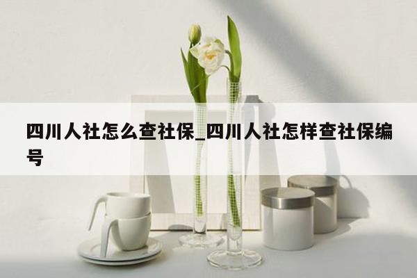 四川人社怎么查社保_四川人社怎样查社保编号