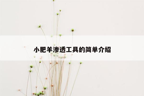 小肥羊渗透工具的简单介绍