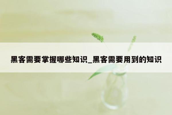 黑客需要掌握哪些知识_黑客需要用到的知识