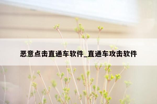 恶意点击直通车软件_直通车攻击软件