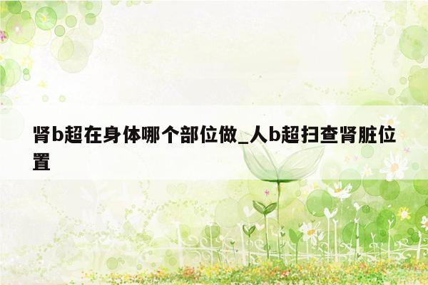 肾b超在身体哪个部位做_人b超扫查肾脏位置