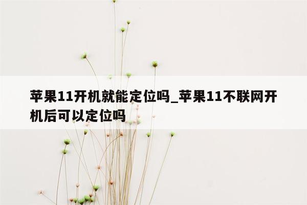 苹果11开机就能定位吗_苹果11不联网开机后可以定位吗