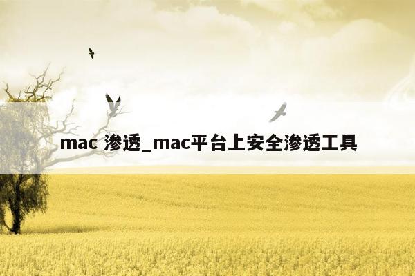 mac 渗透_mac平台上安全渗透工具